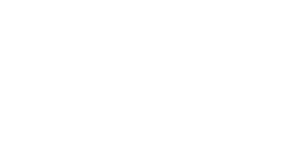 Frontier Metrology Logo